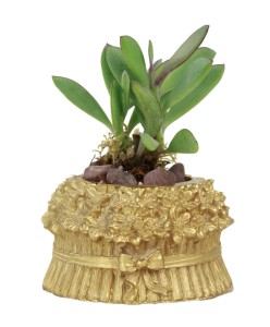 Mini Çiçek Saksı Küçük Sukulent Altın Kaktüs Saksısı Çiçekli Fiyonklu Model